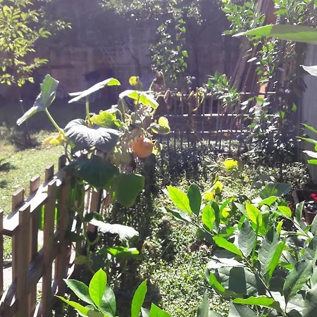 Dal Maremmano